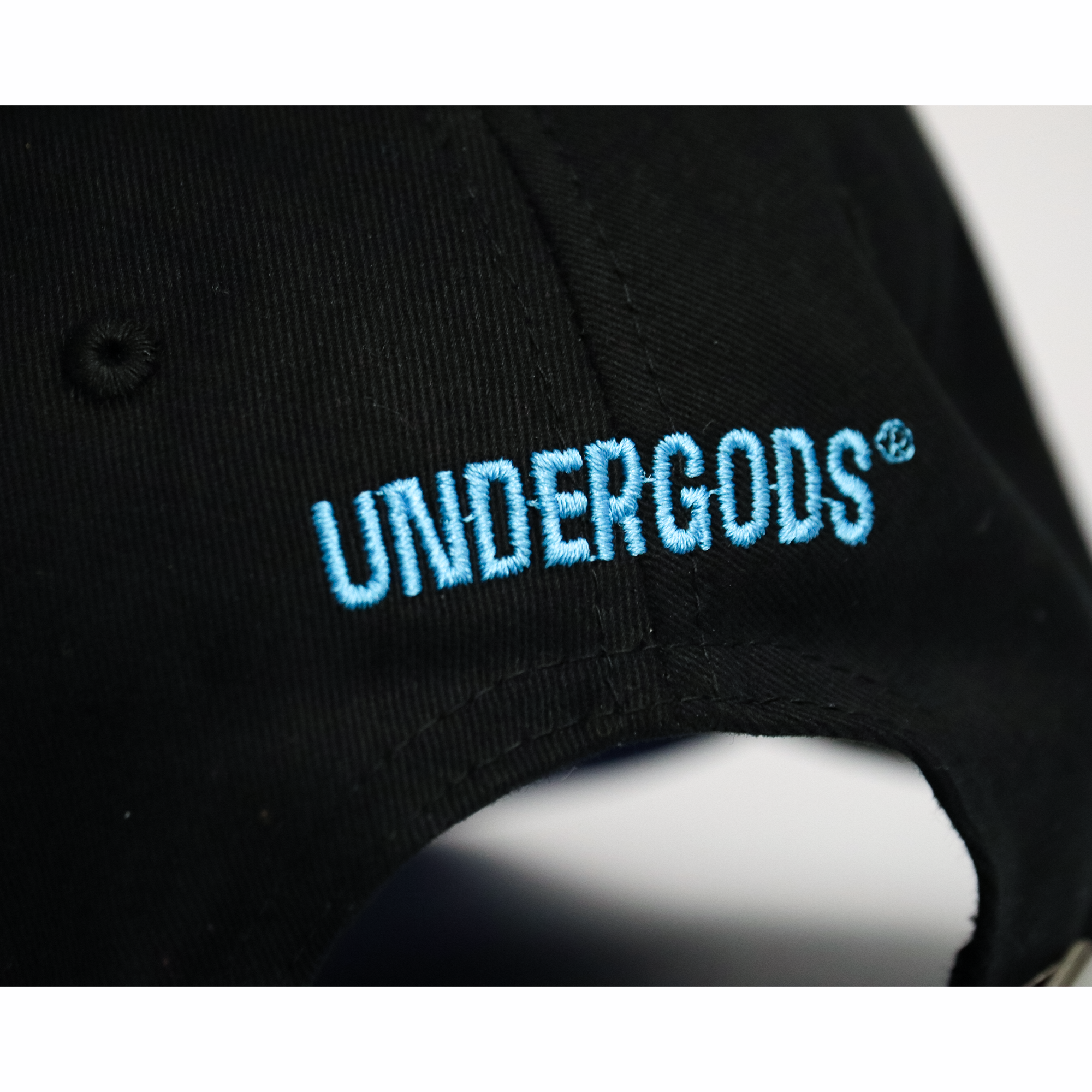 Back view of Heaven Made cap showing adjustable snapback closure and structured black crown